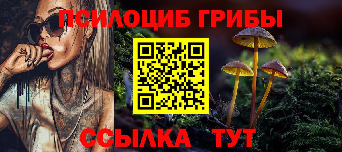 Галлюциногенные грибы MAGIC MUSHROOMS  сколько стоит  Галлюциногенные грибы MAGIC MUSHROOMS  Губкинский  Вход с VPN 