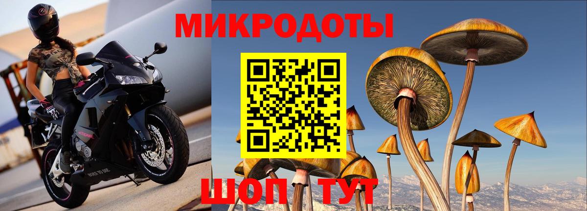 Псилоцибиновые грибы прущие грибы Губкинский